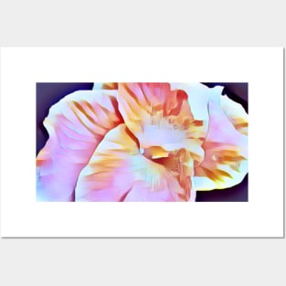 White, Pink, Marron, Gold, Tropical Canna Lily with Purple Background Posters and Art
